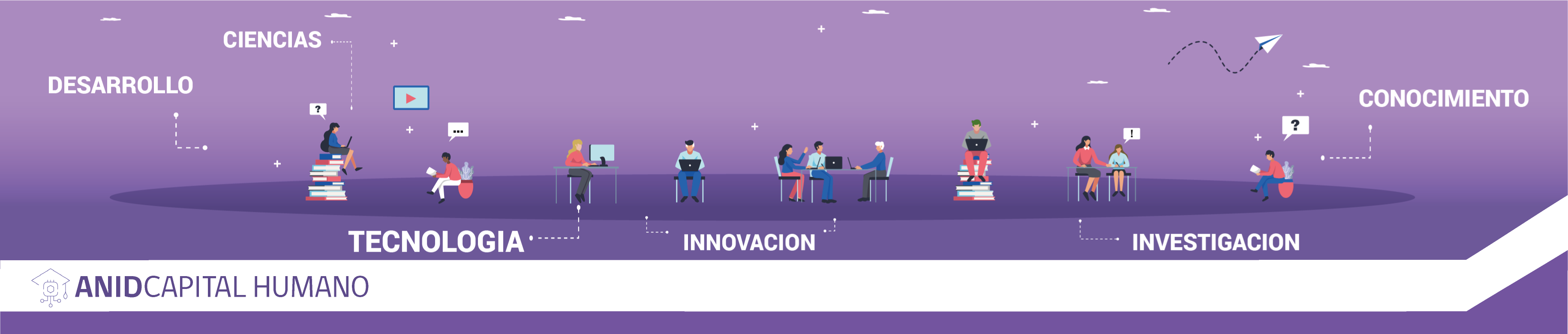 Banner Becas